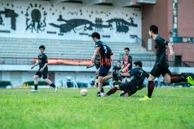 杜埃兄弟在世界杯上演亲兄弟对决精彩瞬间